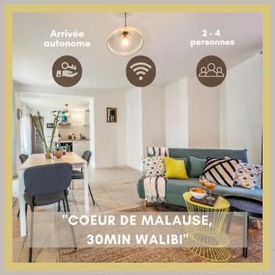 Malause Le Gite 1 - Appartement T2 De 53M2, Ideal Pro Ou Couples, Coeur De Ville Et Proche Golfech מראה חיצוני תמונה