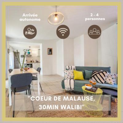 Malause Le Gite 1 - Appartement T2 De 53M2, Ideal Pro Ou Couples, Coeur De Ville Et Proche Golfech מראה חיצוני תמונה